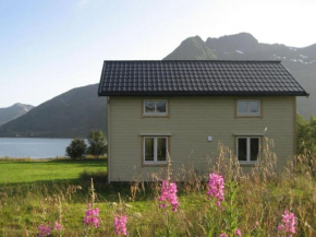 Charming house by the sea, Lofoten!